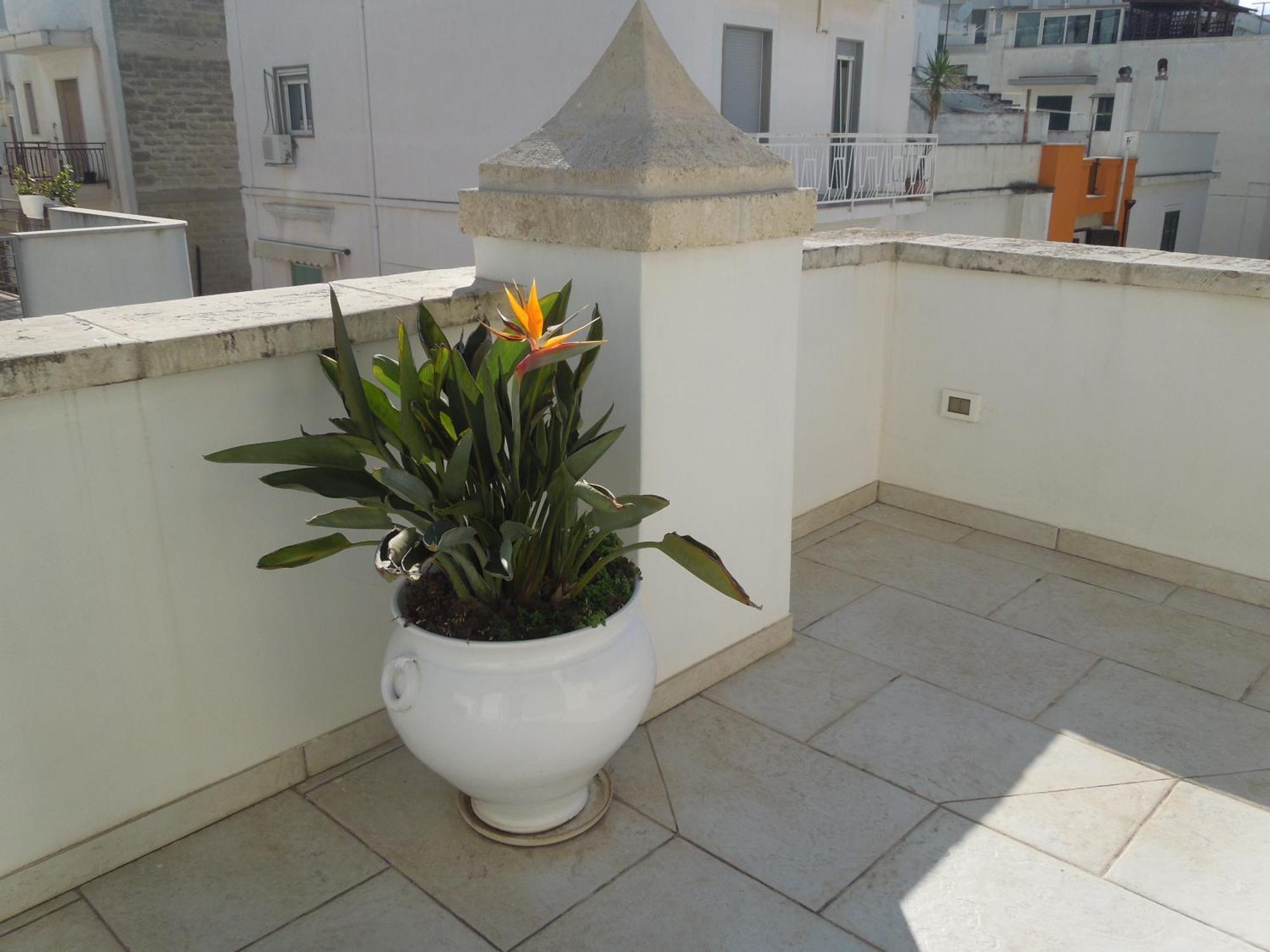 Dimora Girolamo Bed & Breakfast Polignano a Mare Exterior photo